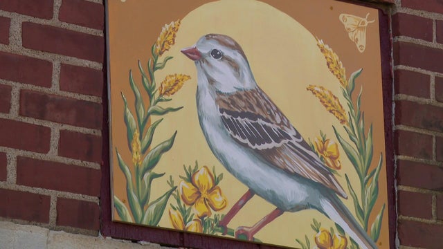 4p-pkg-bird-mural-project-wcco9239.jpg