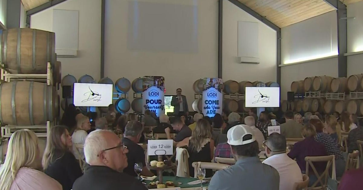 Lodi leaders unveil new tourism strategy: Wine is only part of our story