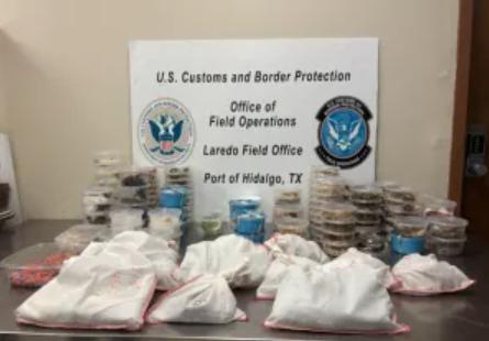 Jars and bags containing more than 160 species of reptiles, spiders and centipedes seized by U.S. Customs and Border Protection officers at Anzalduas International Bridge are seen in a handout photo. 
