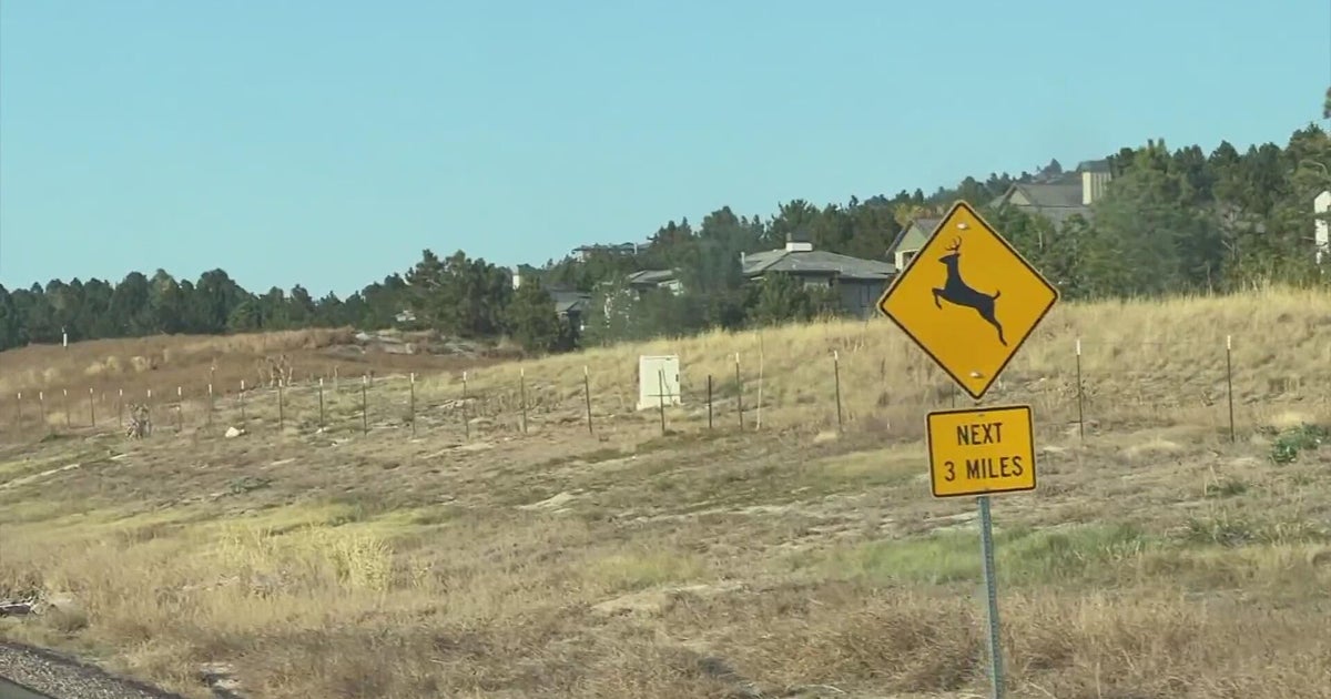 CDOT warns of increased risk of wildlife collisions with time change