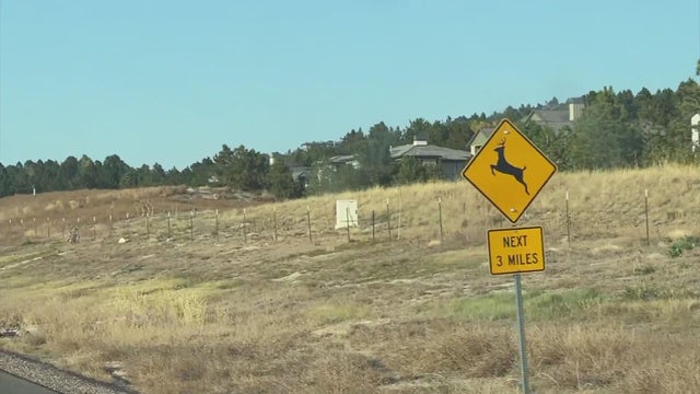 wildlife-crossing-douglas-county.jpg
