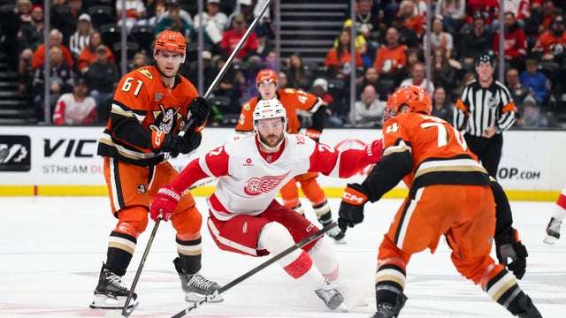 Detroit Red Wings v Anaheim Ducks 