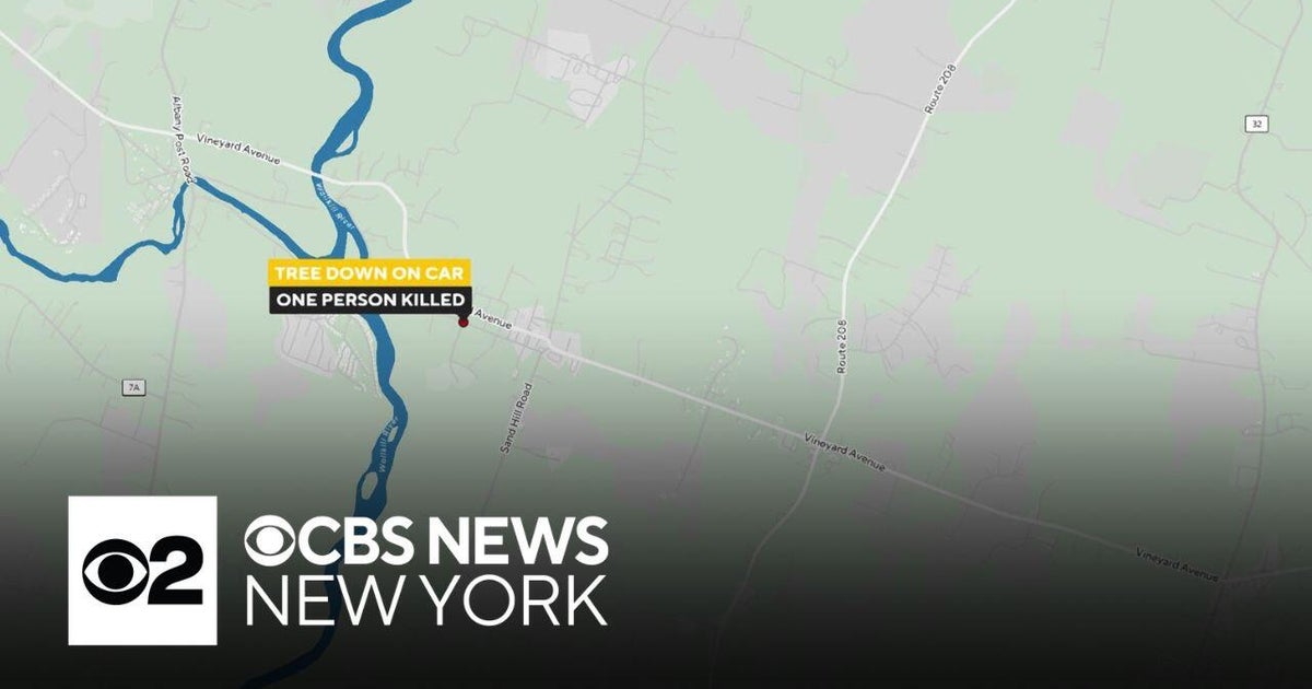 1 dead after tree falls on car in Ulster County - CBS New York