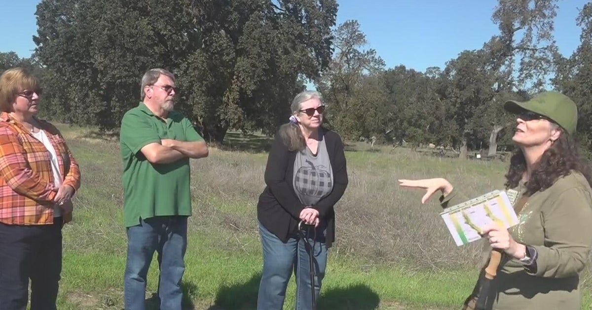 Nature tour highlights historic importance of California oak trees during the fall