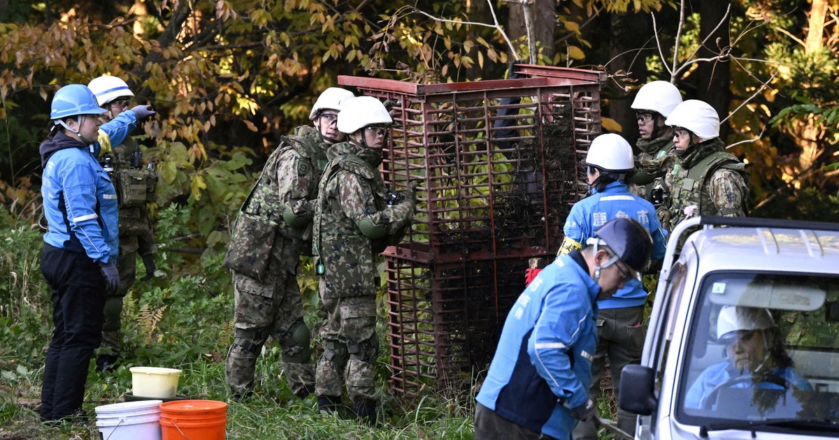 Japan deploys troops in bid to stem surge in deadly bear attacks