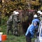 Japan deploys troops in bid to stem surge in deadly bear attacks