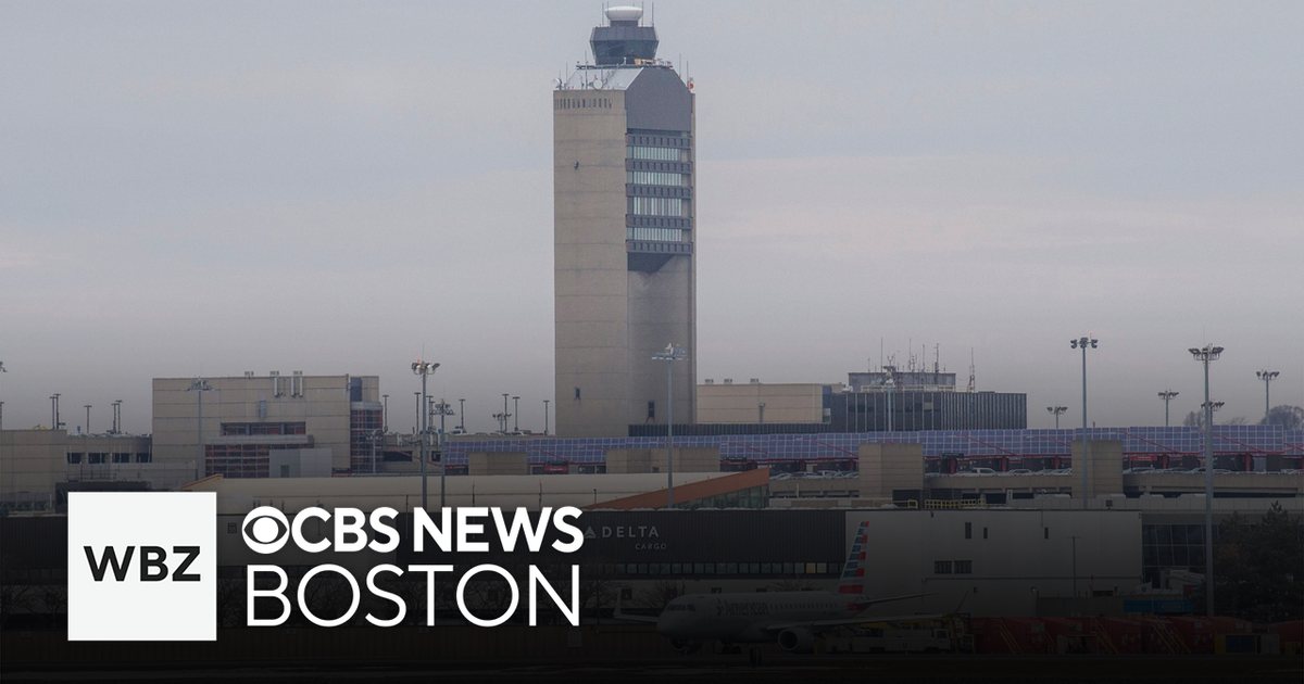 BOSTON LOGAN INTERNATIONAL AIRPORT CANCELLATIONS visual data 6