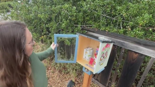 Novato Community Pantry 