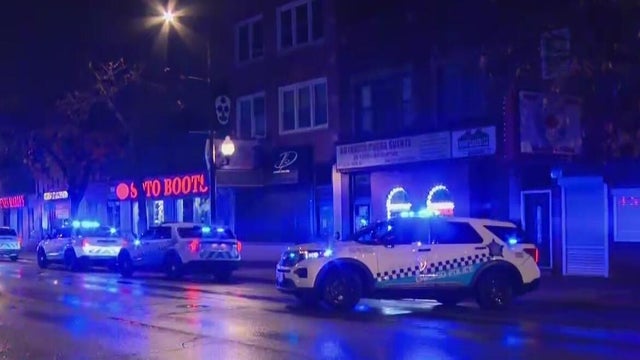 Blue police lights on a car 