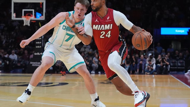 Hornets Heat Basketball 