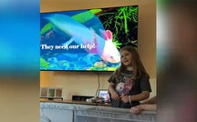 A Harvard research lab's remarkable gift from a 6-year-old girl 