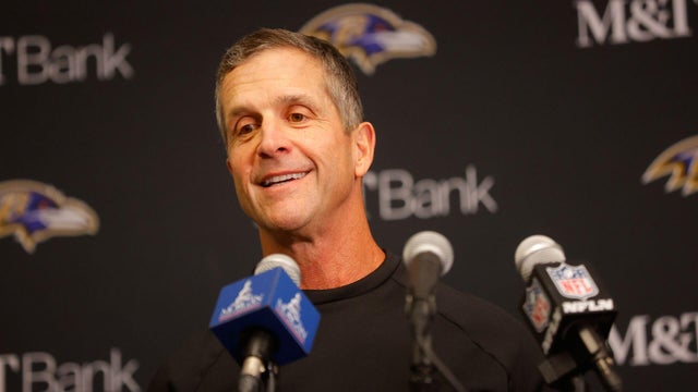 Ravens Vikings Football 