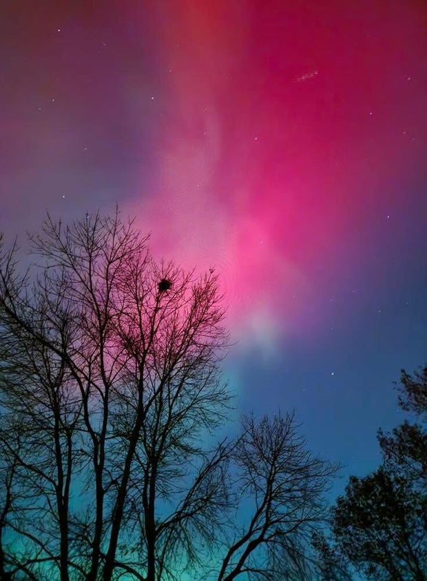 northern lights minnesota nov 11 2025