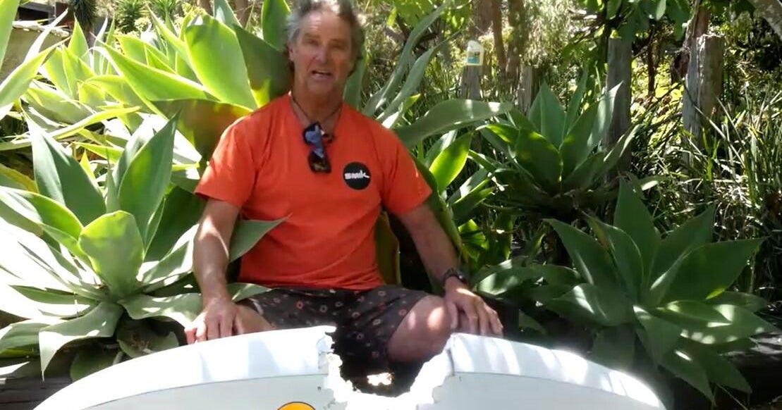 Australian windsurfer recalls moment shark "hit me like a freight train"