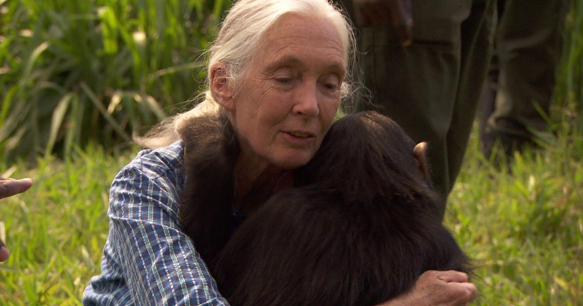 How motherhood changed Jane Goodall | 60 Minute Archive