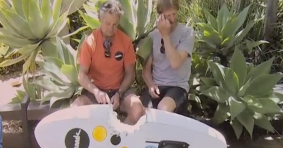 Watch: Australian windsurfer survives vicious shark attack