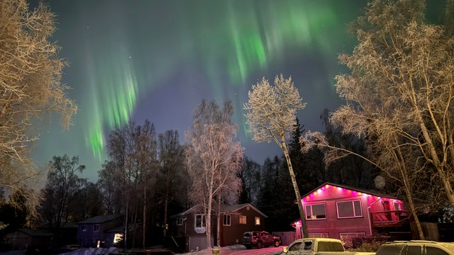 Pictures of the Week Global Photo Gallery 