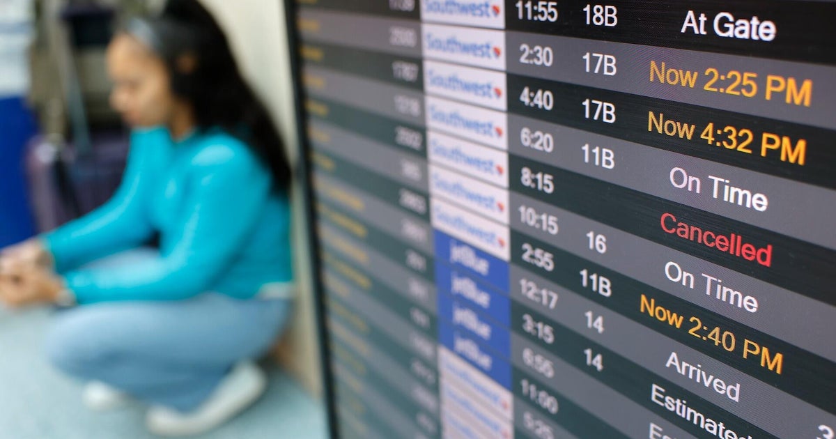 Delta CEO reacts to end of government shutdown as travel chaos begins to soothe