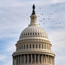 Birds fly around the Capitol dome, Tuesday, Nov. 4, 2025, in Washington. 