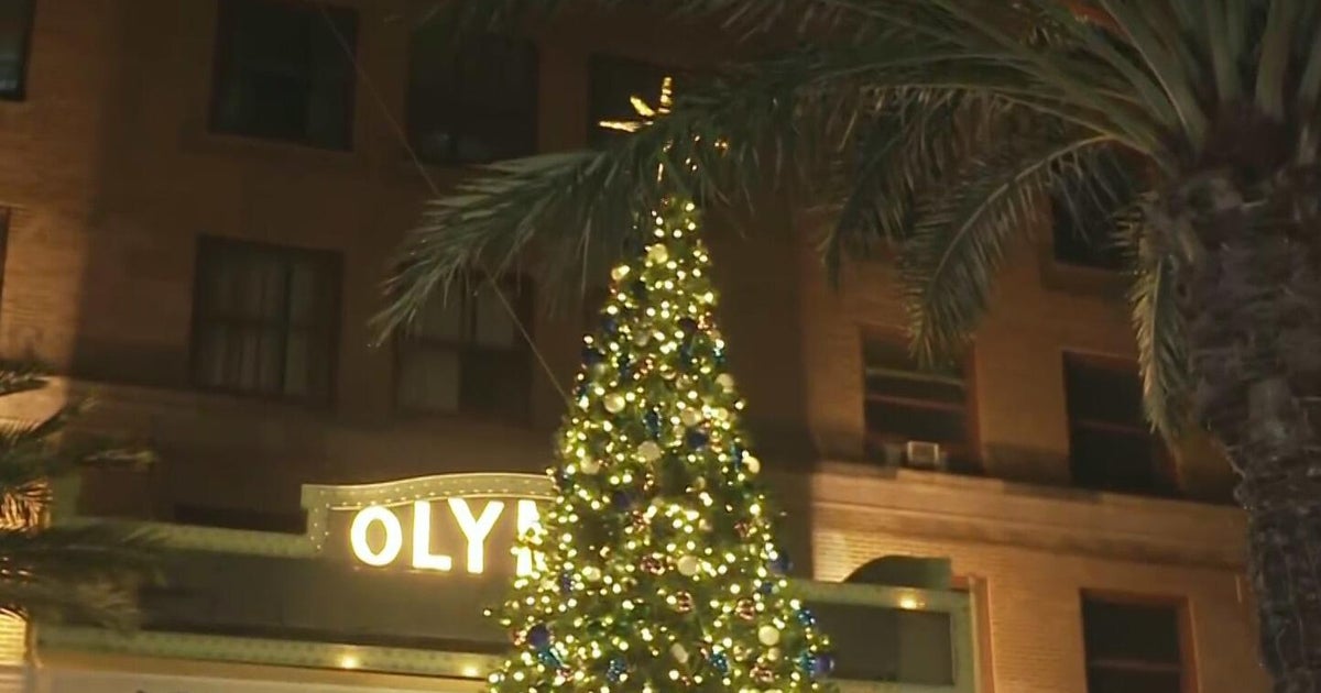 Miami gets into holiday spirit with Christmas tree lighting ceremony