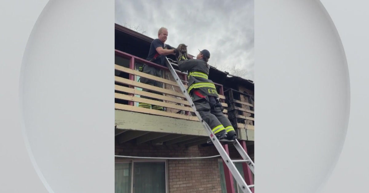 Apartment fire west of Denver displaces 30 people, officials say - CBS ...