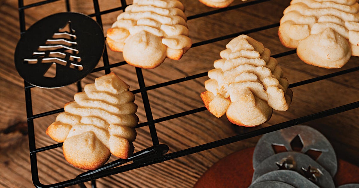 Докато следваше магистратурата си по библиотекознание авторът и архивист Роузи