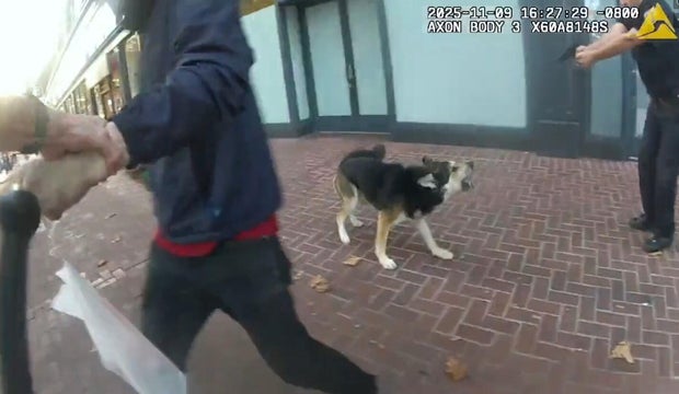 Market Street San Francisco Police OIS Nov. 9