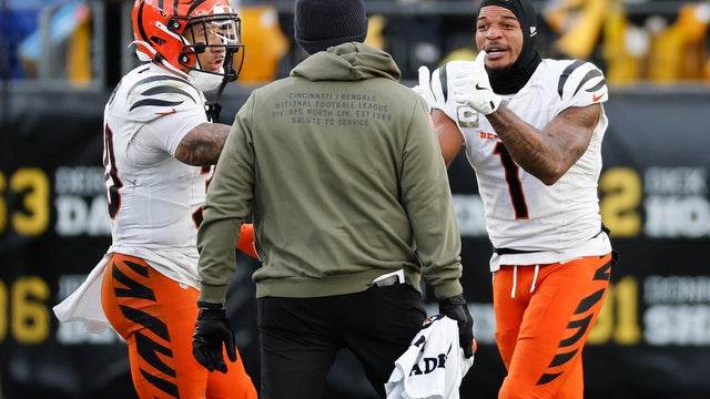 Cincinnati Bengals v Pittsburgh Steelers - NFL 2025 