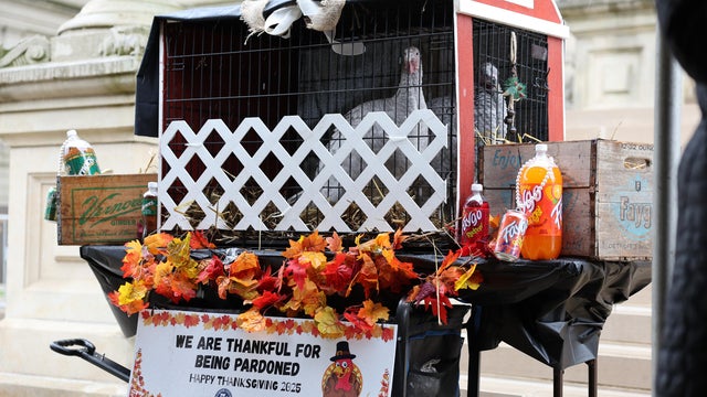 Whitmer pardons 2 turkeys named "Faygo" and "Vernors" 