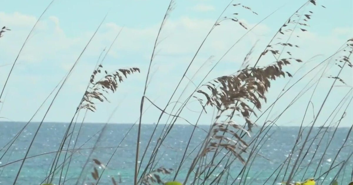 Broward County launches sand bypass project to fight coastal erosion and restore beaches