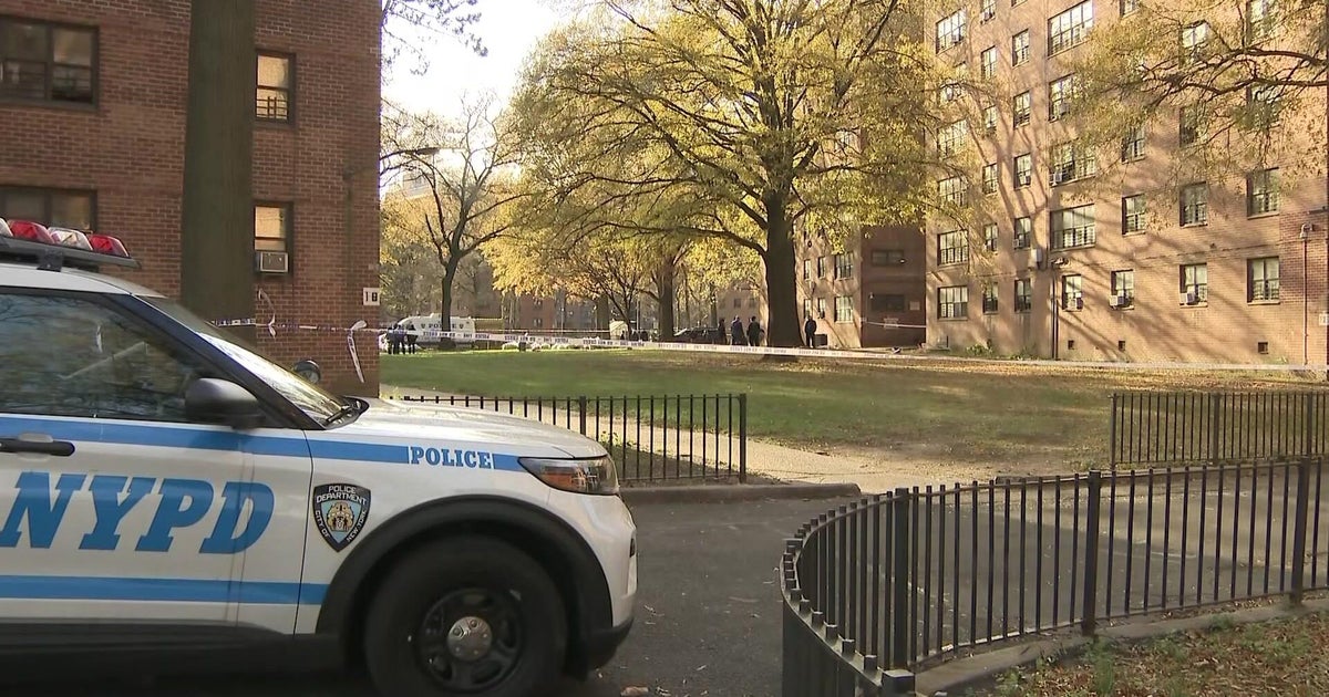 UPDATE - Dead fetus found stuffed in bag, ditched in pile of leaves ...