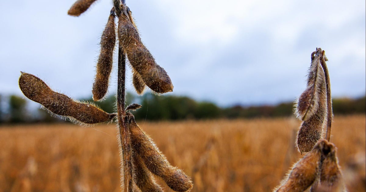 Farmer aid package could be announced within 2 weeks, USDA head says