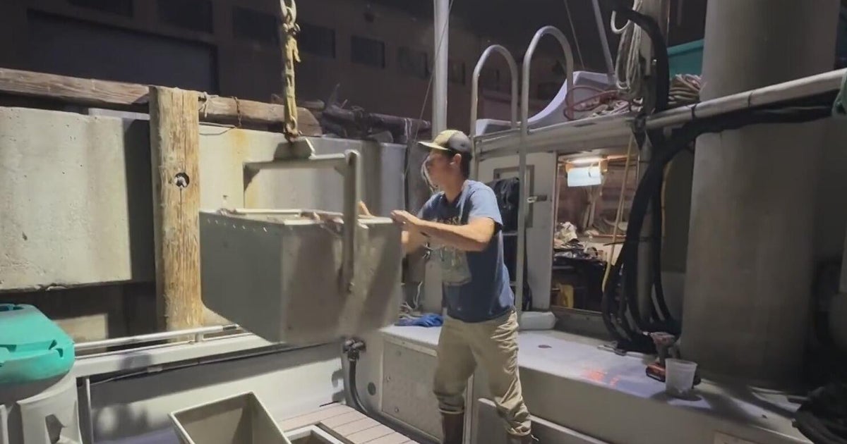 New generation of San Francisco crab fishermen await upcoming Dungeness season