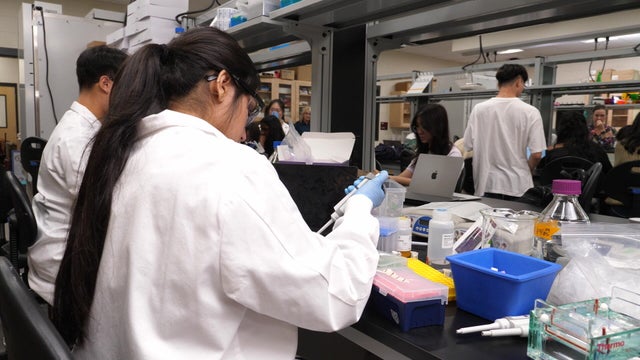 Students in the lab at Lambert 
