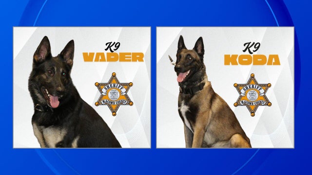 macomb-k9-slider.jpg 