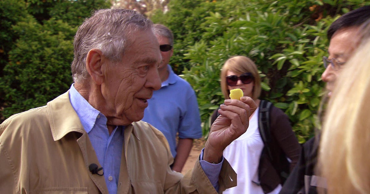 cbsnews.com - The supertasters flavoring your food: 'The Flavorists' | 60 Minutes Archive