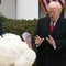 How turkeys pardoned by Trump were chosen