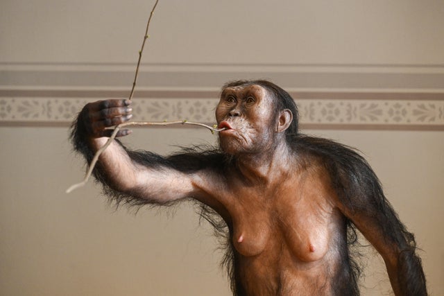 CZECH-ETHIOPIA-SCIENCE-HISTORY-LUCY 