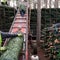 Why tariffs might make real Christmas trees more attractive this year