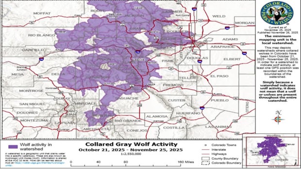 cpw-wolf-activity-map-11-26-2025.jpg