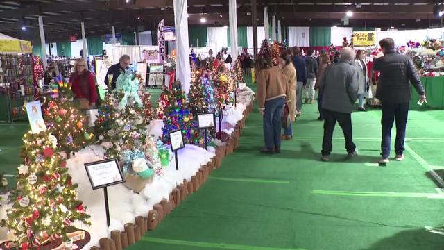 Festival of Trees 2025 in Maryland 