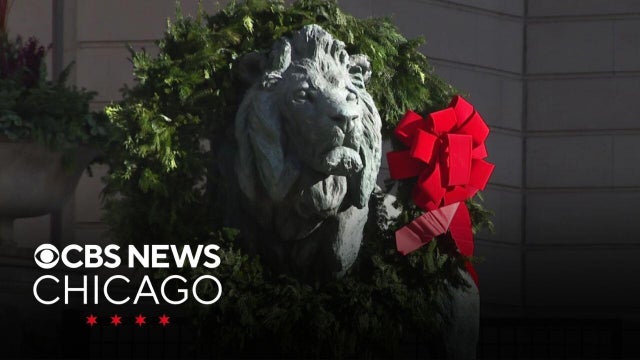 Art Institute lions dress up for the holidays