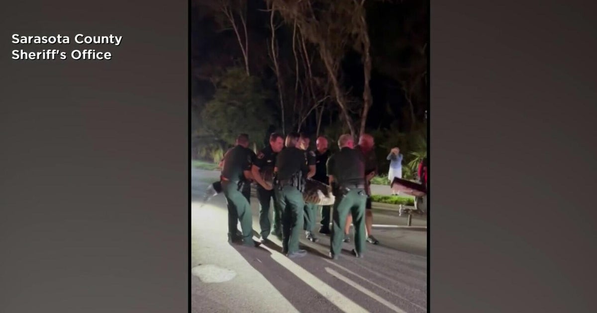 Florida deputies work hard to remove 14-foot gator near Sarasota