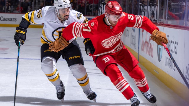 Boston Bruins v Detroit Red Wings 