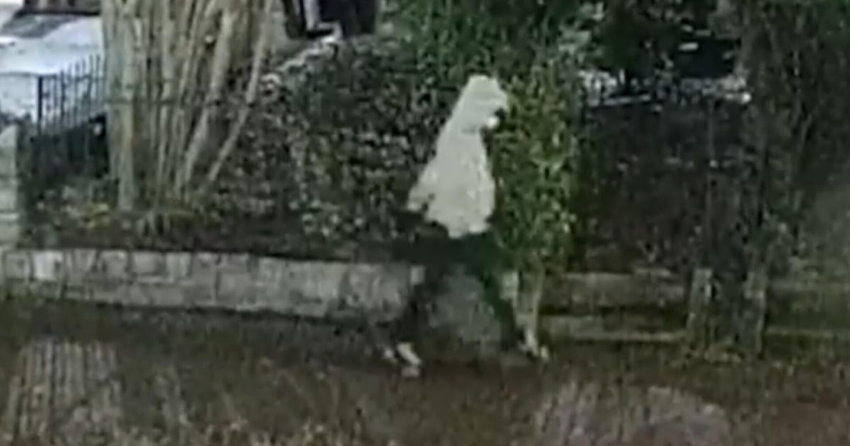 Federal officials give update on arrest in 2021 D.C. pipe bomb case