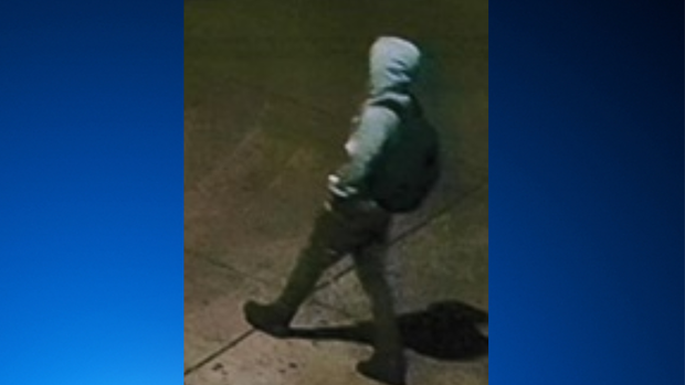 logan square sexual assault