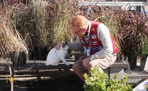 The search for Francine the Cat 