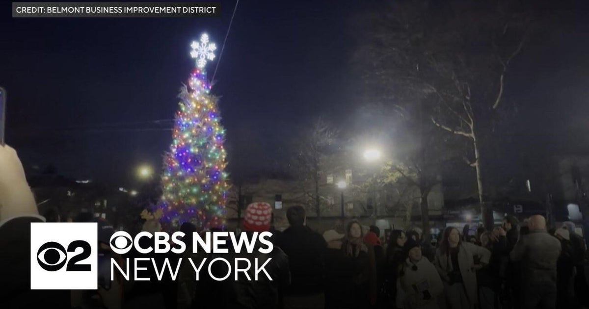 Tree lighting held in Bronx's Little Italy