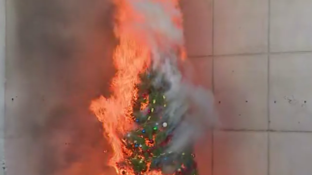 burning-xmas-tree.png 