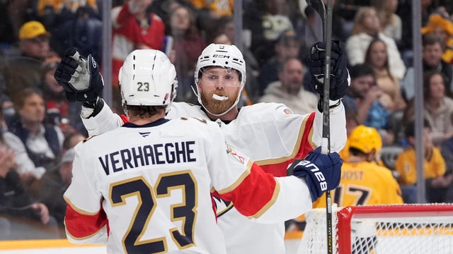 Panthers Predators Hockey 